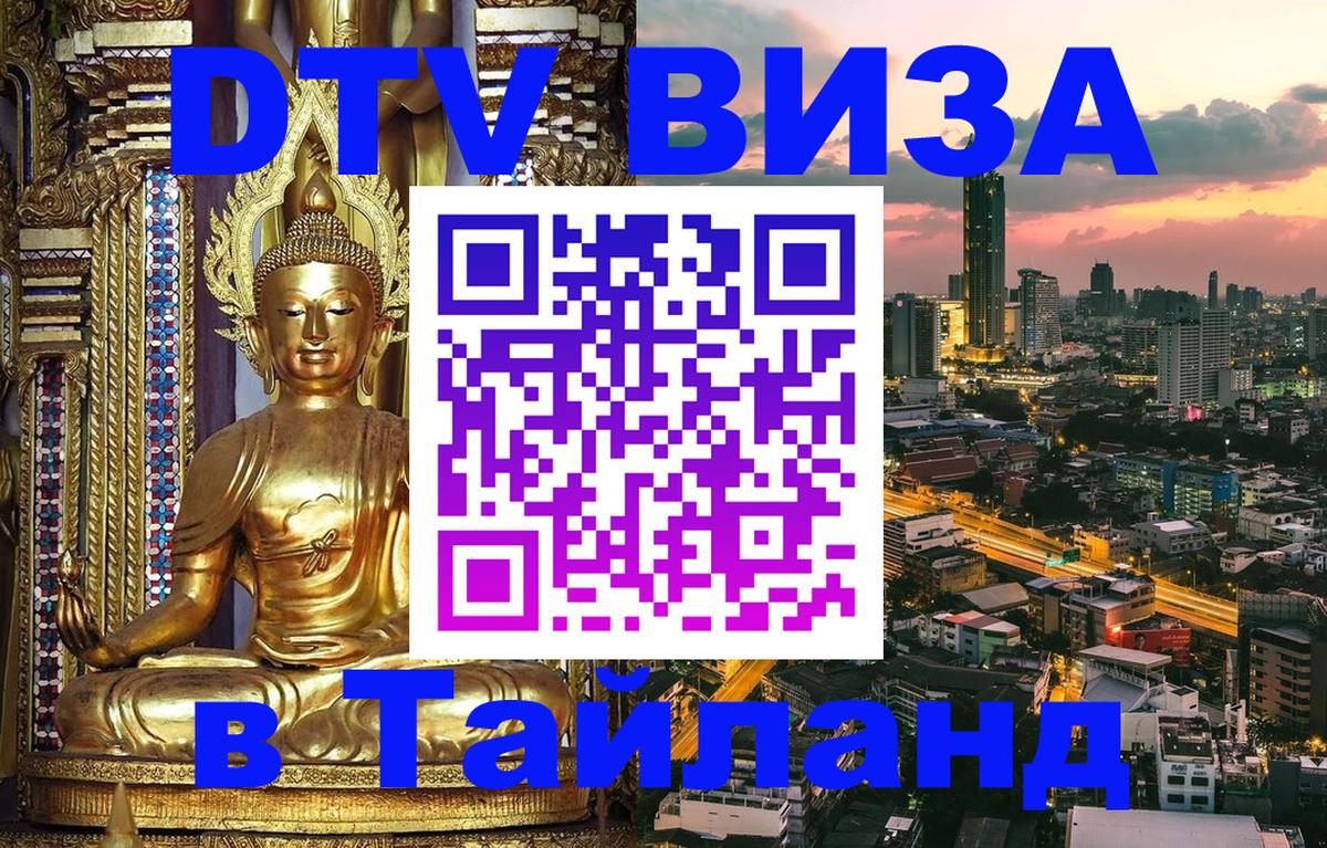 Оформление DTV визы под ключ: стоимость и тарифы, только загранпаспорт - 